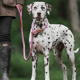 Dusky Pink Rope Dog Lead by Ruff And Tumble